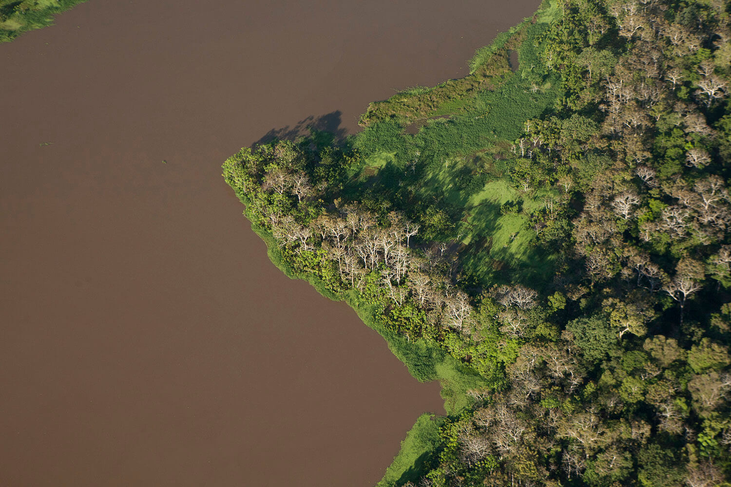 19AMAZONAS slider 20_MG_4559.jpg